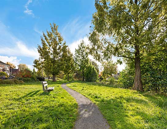 Groen park met wandelpad in rustige woonwijk in Drenthe