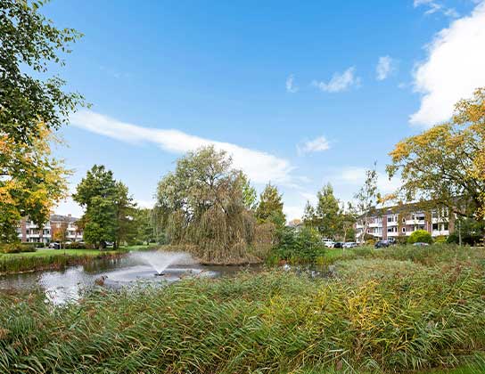 Groene woonwijk met parkvijver en fontein in Drenthe