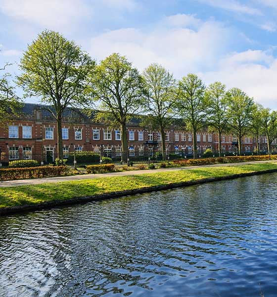 Statige rijwoningen in groene laan in Drenthe